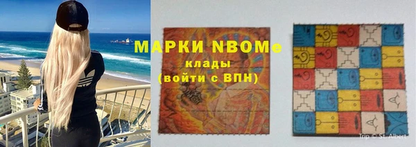 твердый Иннополис