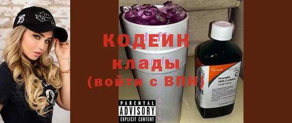 твердый Иннополис