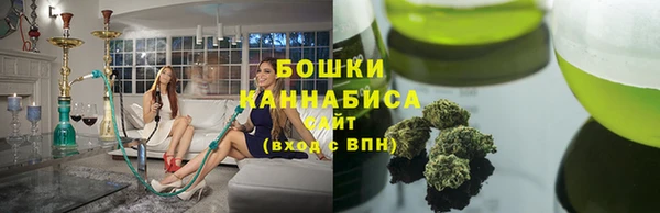 твердый Иннополис