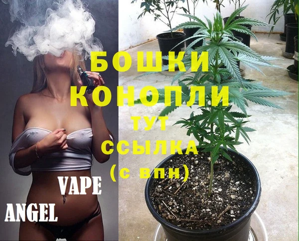 твердый Иннополис