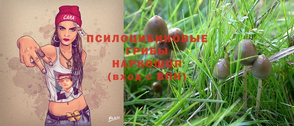 ГАЛЛЮЦИНОГЕННЫЕ ГРИБЫ Инта