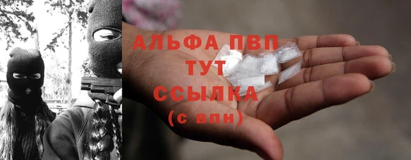 твердый Иннополис