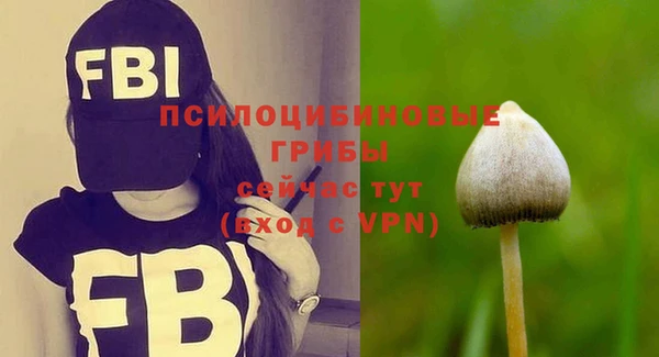 ГАЛЛЮЦИНОГЕННЫЕ ГРИБЫ Инта