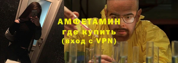 ГАЛЛЮЦИНОГЕННЫЕ ГРИБЫ Инта