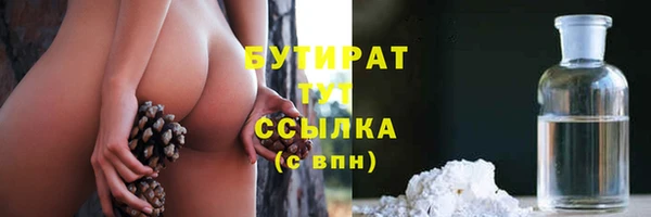 ГАЛЛЮЦИНОГЕННЫЕ ГРИБЫ Инта