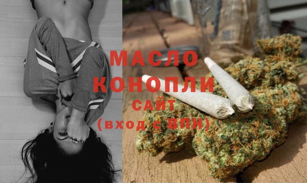 ГАЛЛЮЦИНОГЕННЫЕ ГРИБЫ Инта