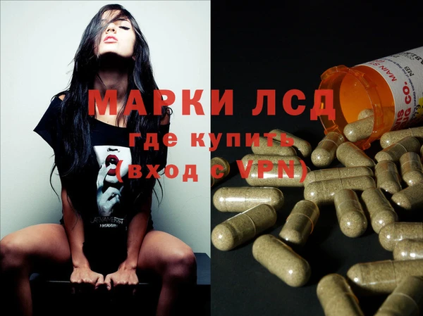 ГАЛЛЮЦИНОГЕННЫЕ ГРИБЫ Инта