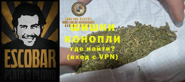 ГАЛЛЮЦИНОГЕННЫЕ ГРИБЫ Инта